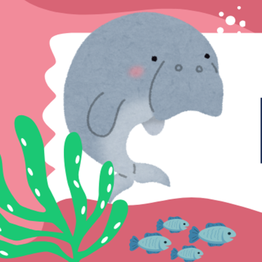 哺乳類の見出し画像