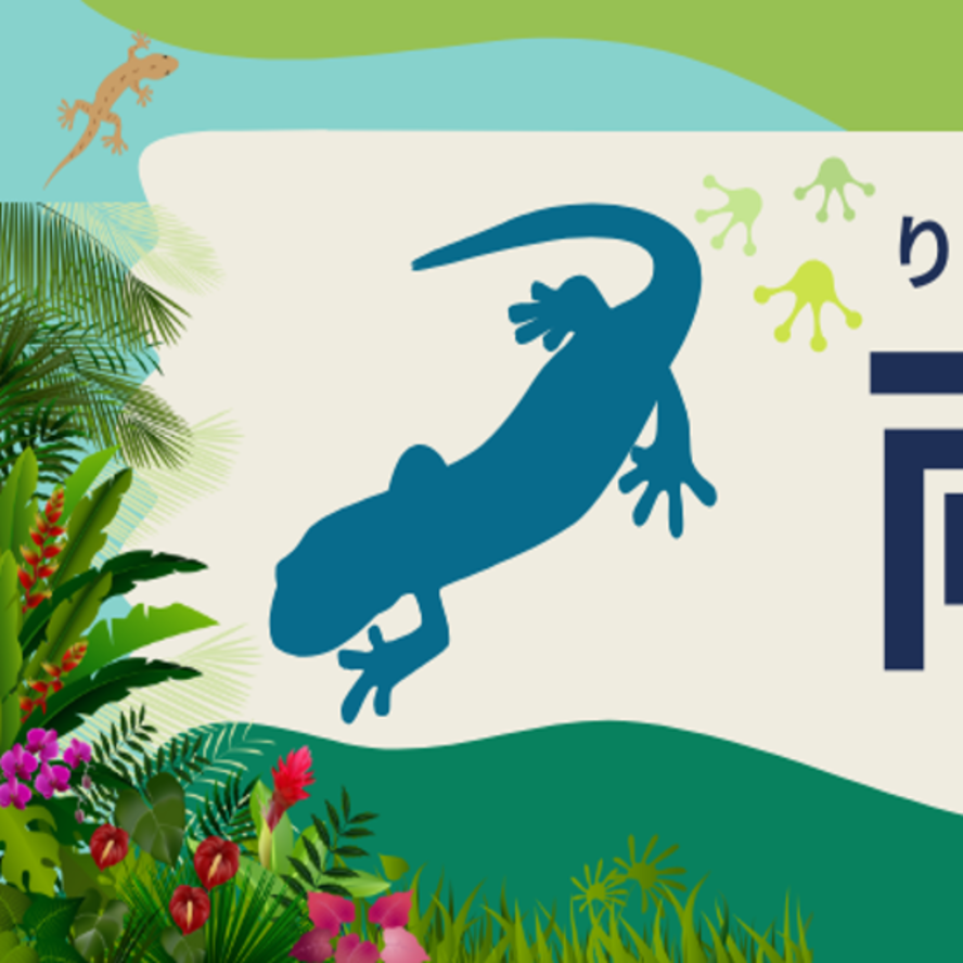 両生類の見出し画像