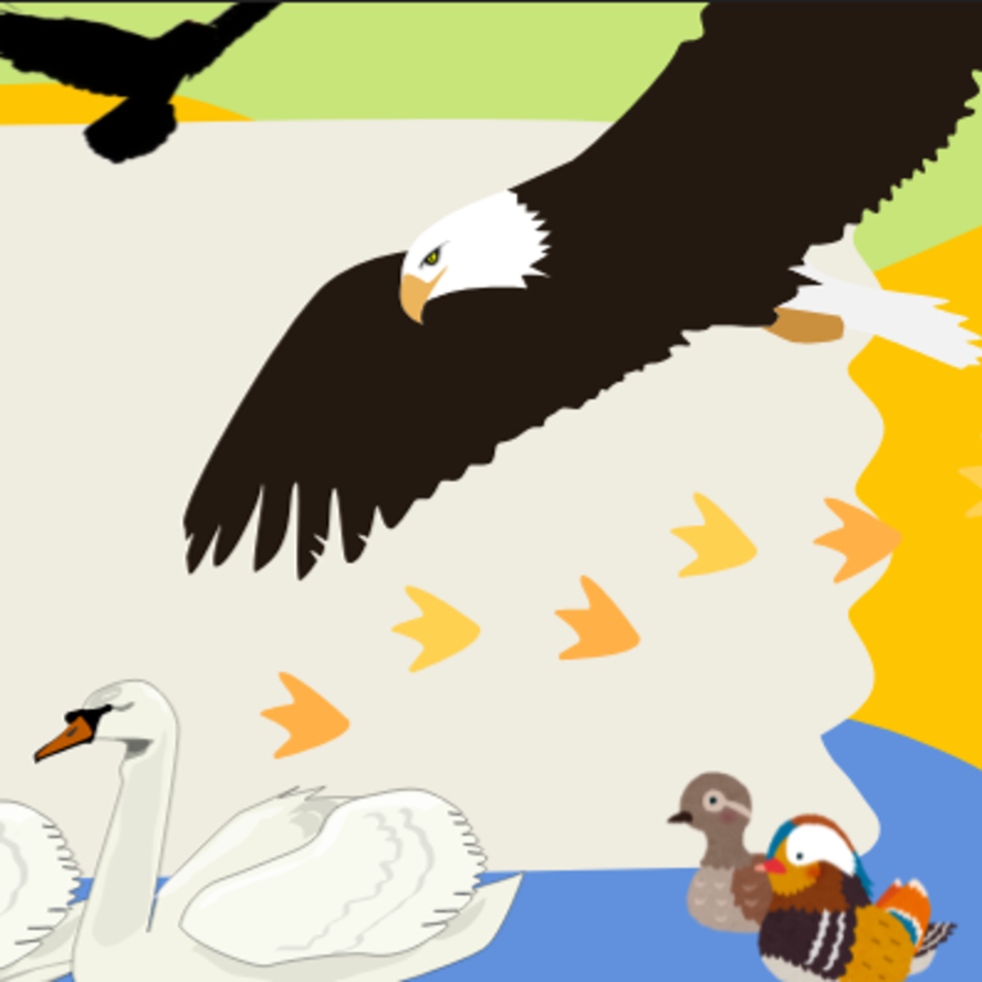 鳥類の見出し画像